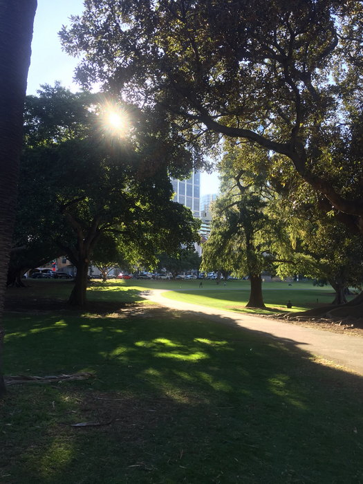 Hyde Park-Emma Griffin