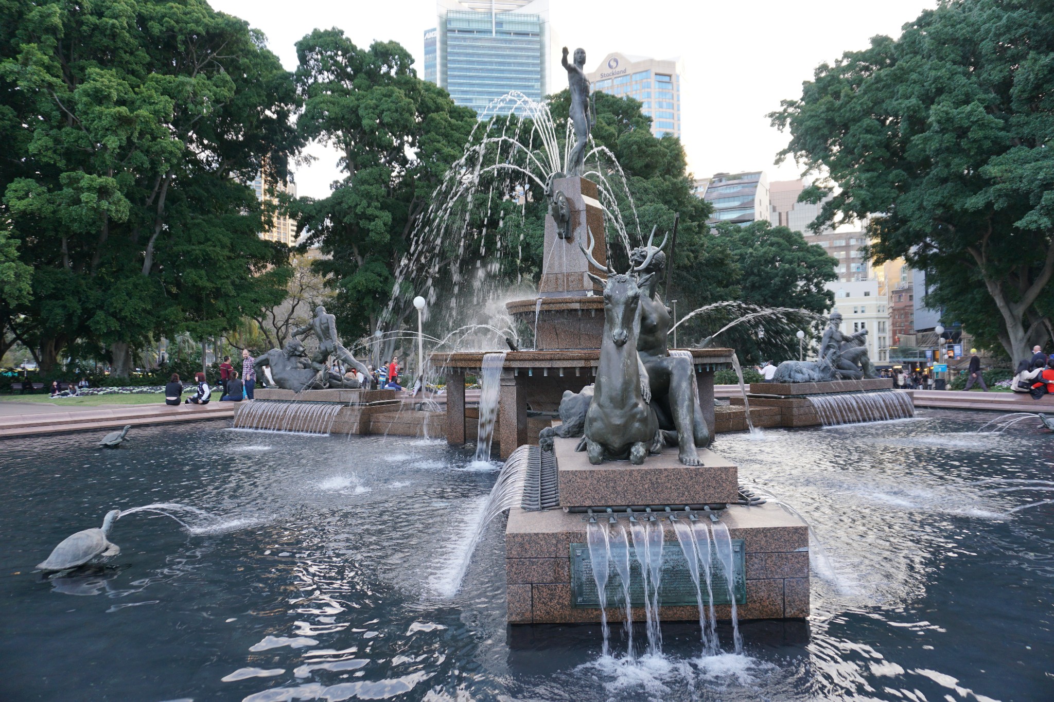 Hyde Park-Sophia Hayes