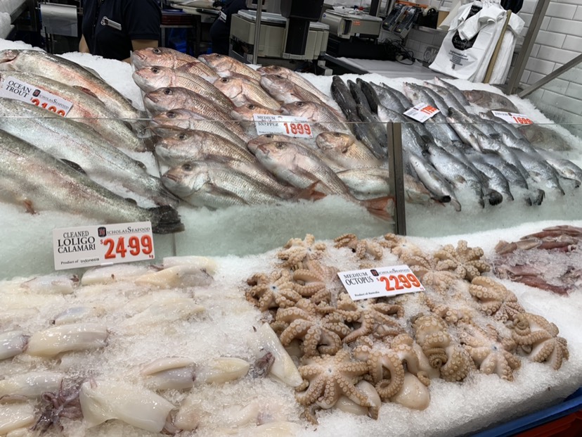 Sydney Fish Market-Ethan Davis