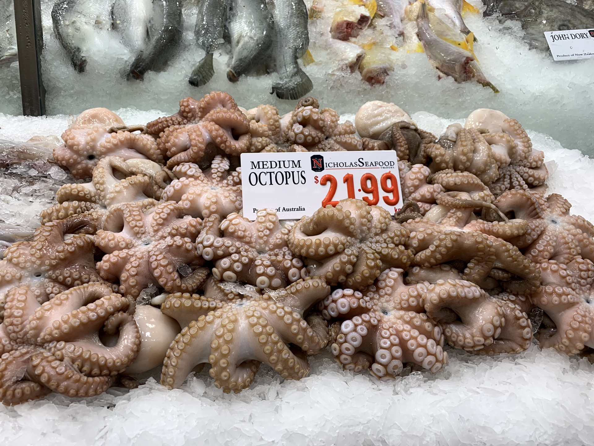 Sydney Fish Market-Abigail Woods