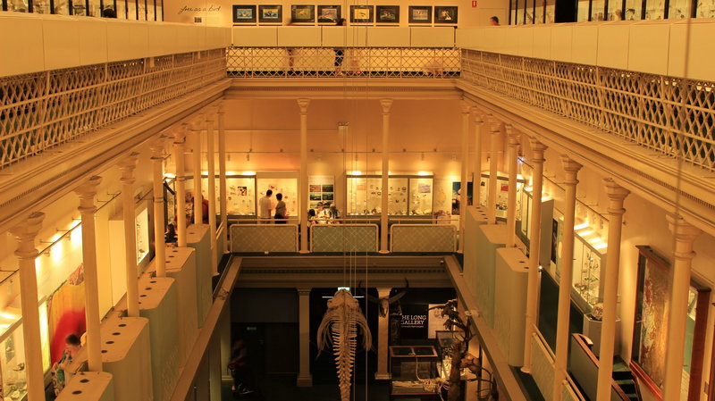 Australian Museum-Zara Gibson