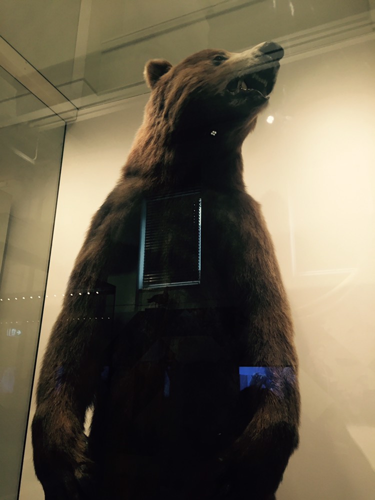 Australian Museum-Scarlett Mitchell