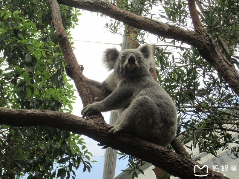 WILD LIFE Sydney Zoo-Aubrey Parker