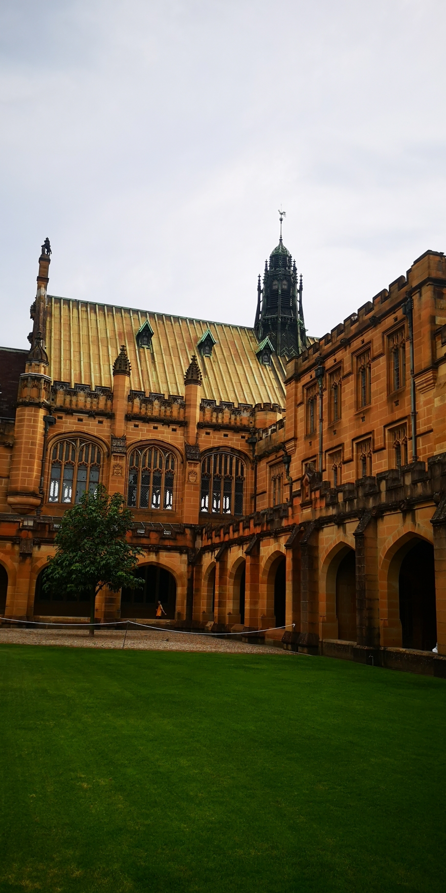 Sydney Uni-Wolf Dawnfall
