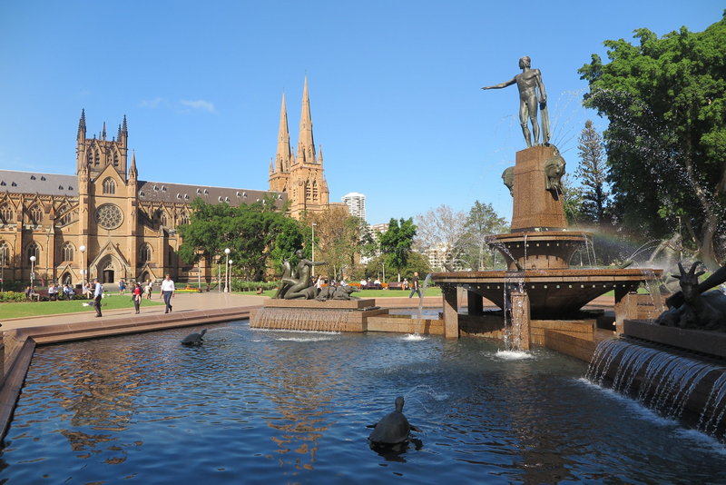 Hyde Park-Matthew Peterson