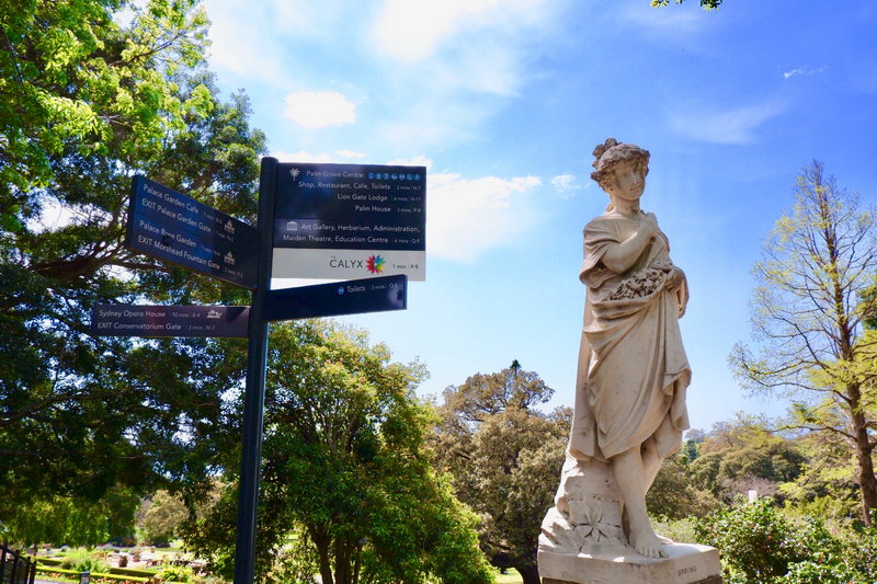 Royal Botanic Garden-Victoria Reed