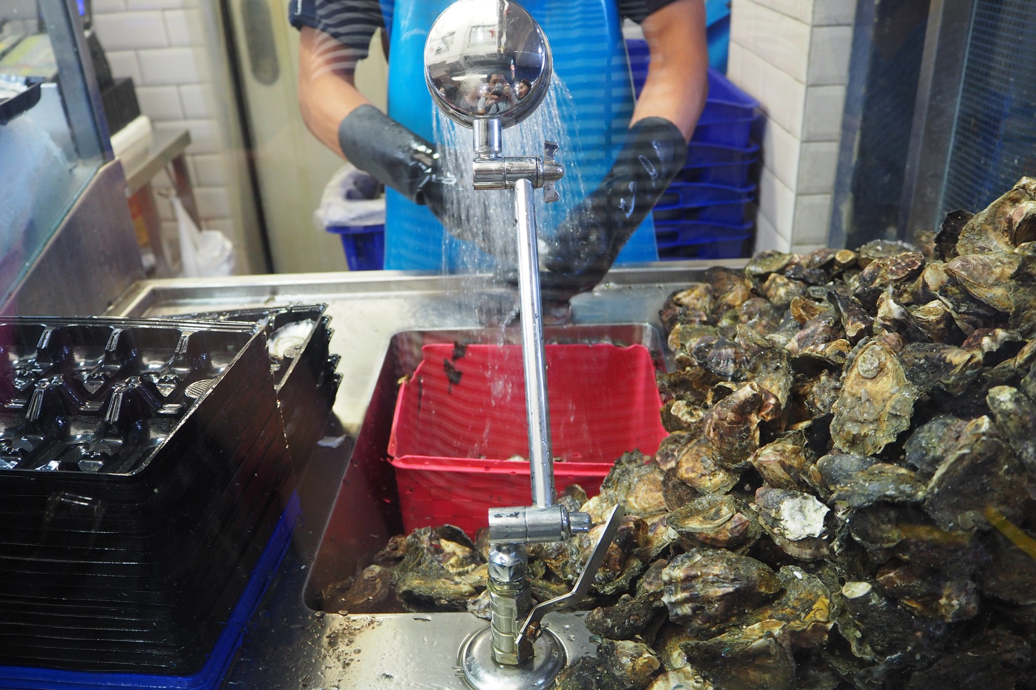 Sydney Fish Market-Nathan Evans