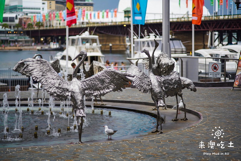 Darling Harbour-Charlotte Fisher