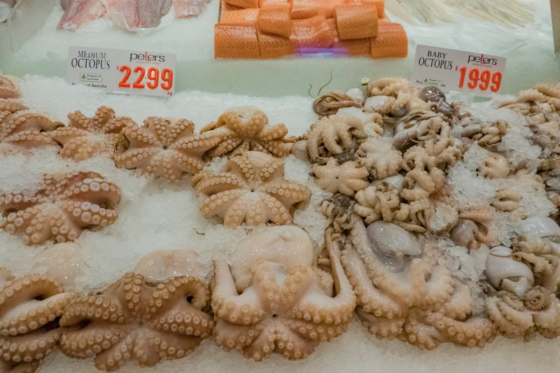 Sydney Fish Market-Christopher Butler