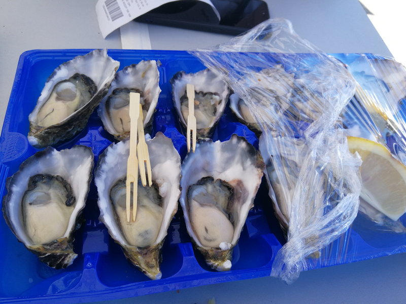 Sydney Fish Market-Alexander Lee