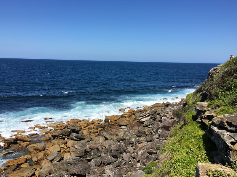Manly Beach-Landon Hawthorne