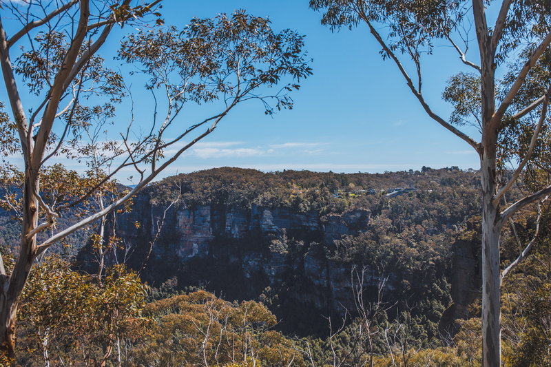 Blue Mountains-Isabella Reed