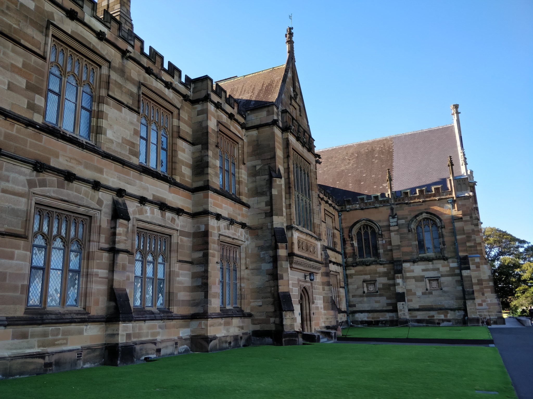 Sydney Uni-Ivy Brightfall