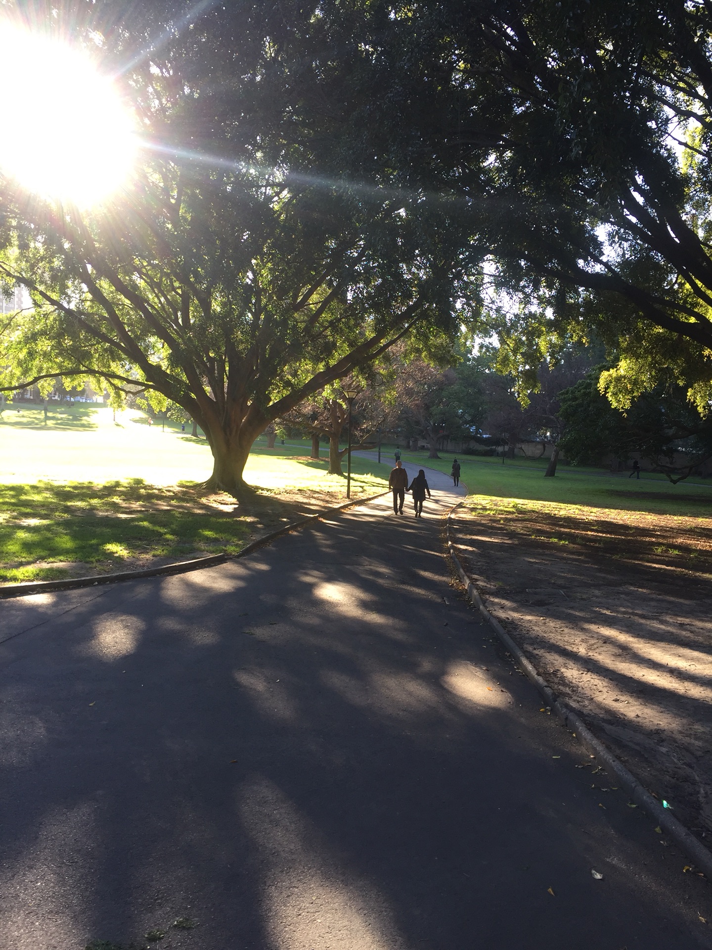 Hyde Park-Emma Griffin