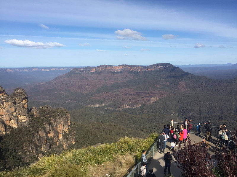 Blue Mountains-Eden Hawthorne