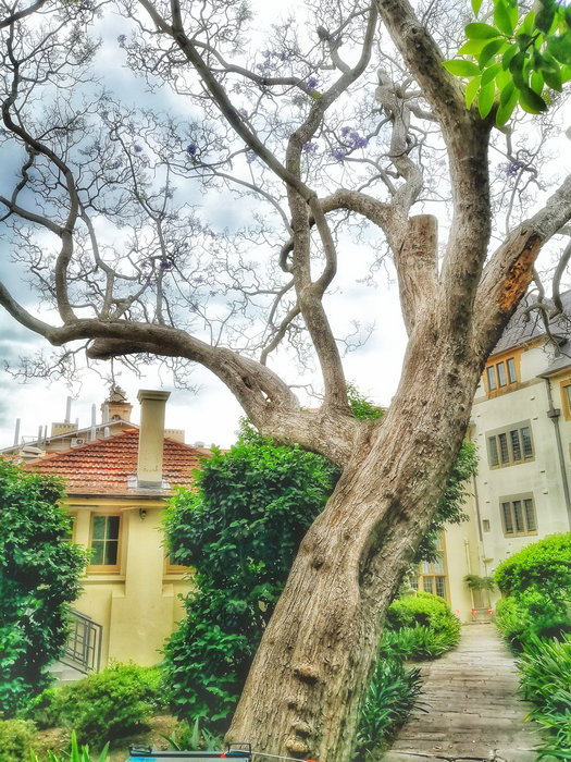 Sydney Uni-River Ravenvale