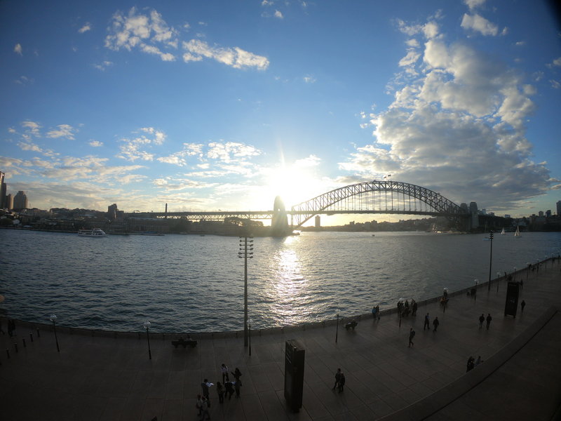 Darling Harbour-Charlotte Woods
