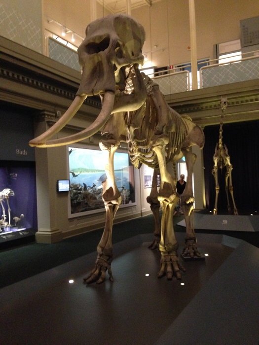 Australian Museum-Trinity Ellis