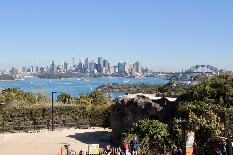 Taronga Zoo-Orion Starfall