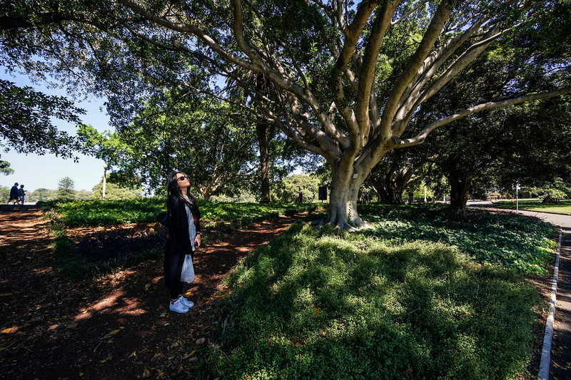 Royal Botanic Garden-Kai Peterson