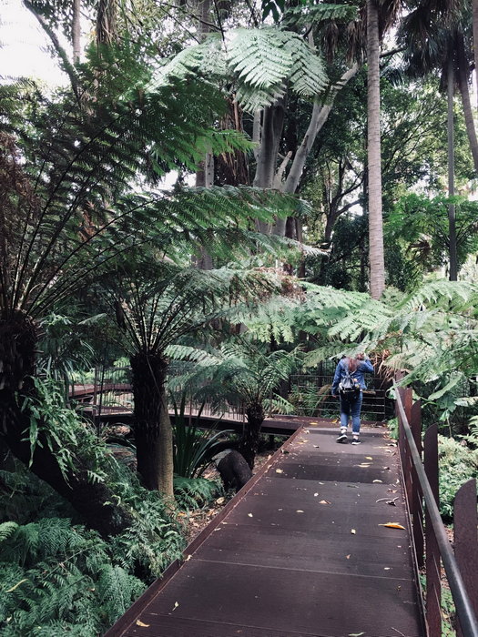 Royal Botanic Garden-Lucia Griffin