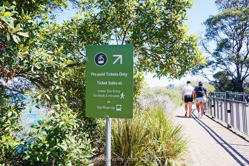 Taronga Zoo-Atlas Kingsley