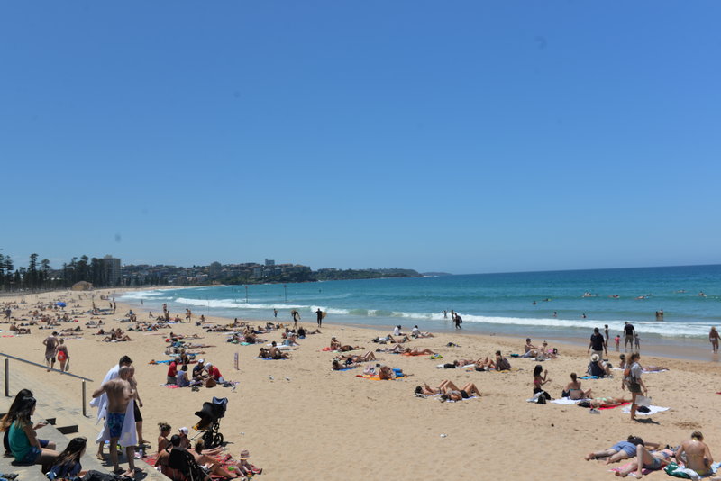 Manly Beach-Landon Hawthorne
