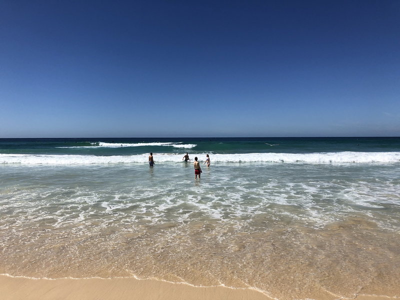 Bondi Beach-Lyla Daniels