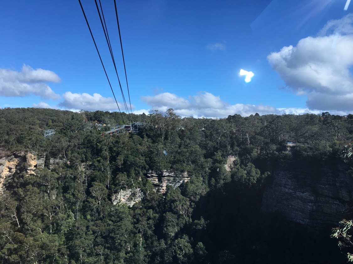 Blue Mountains-William Zhang