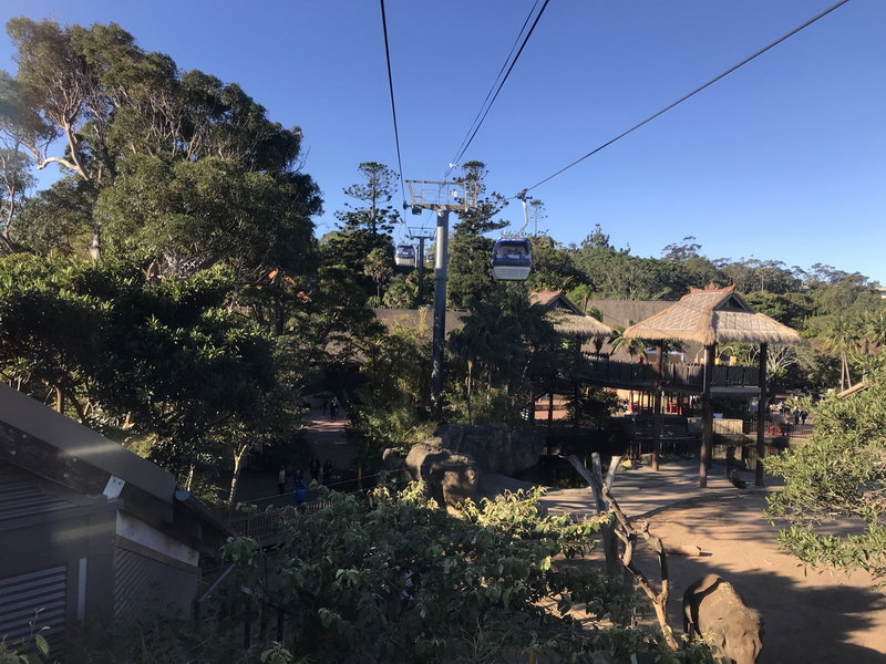 Taronga Zoo-Luna Stormhaven