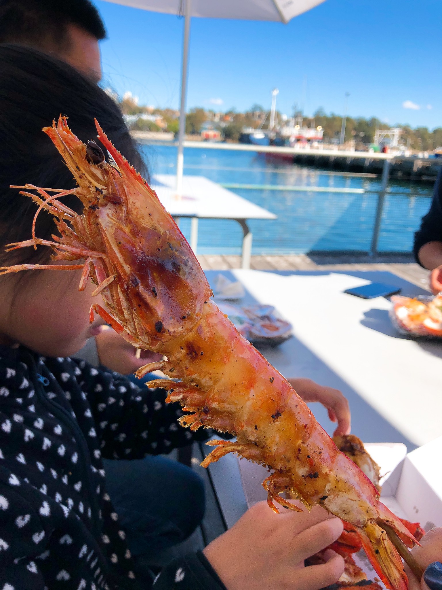 Sydney Fish Market-Sofia Reed