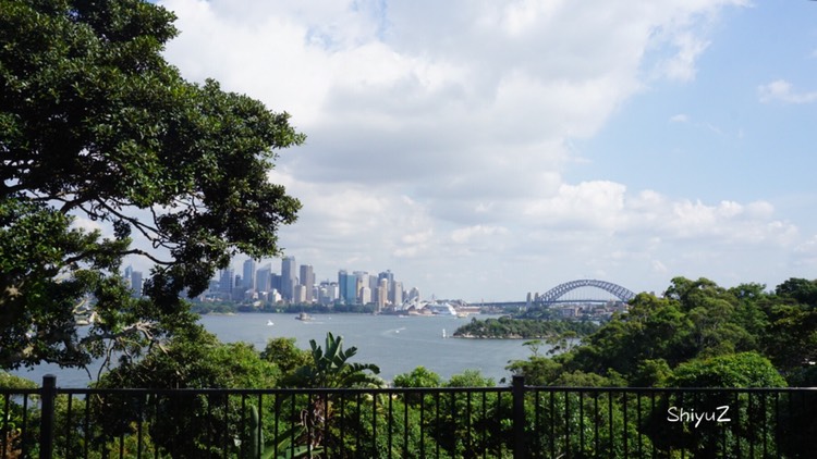 Taronga Zoo-Ocean Moonhaven