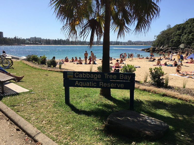 Manly Beach-Landon Hawthorne