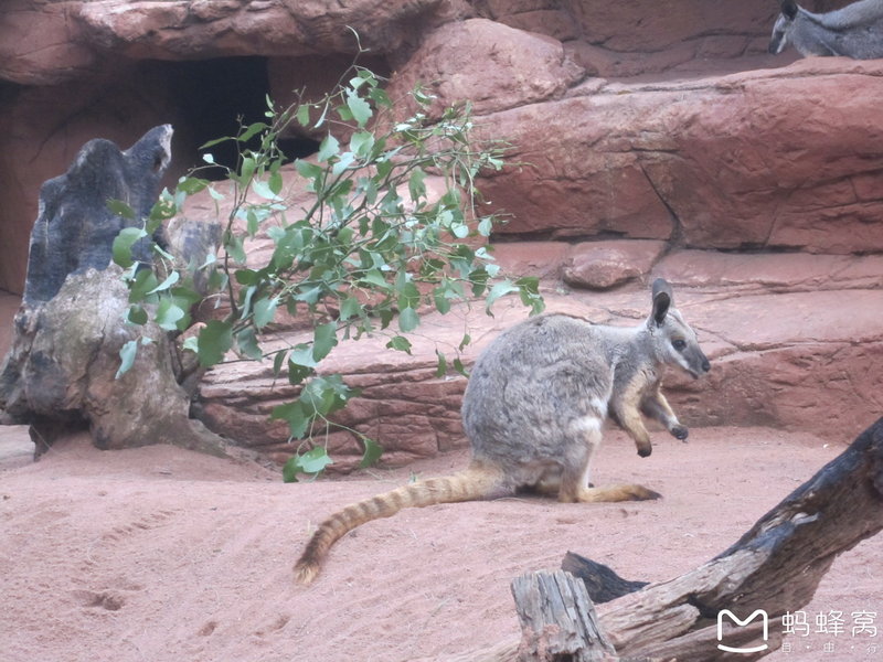 WILD LIFE Sydney Zoo-Aubrey Parker