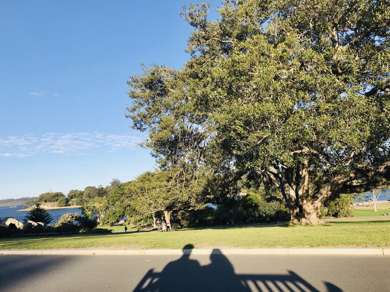 Royal Botanic Garden-Elena Wilson