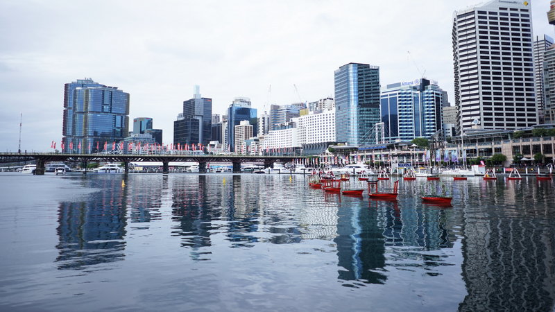 Darling Harbour-Michael Davis