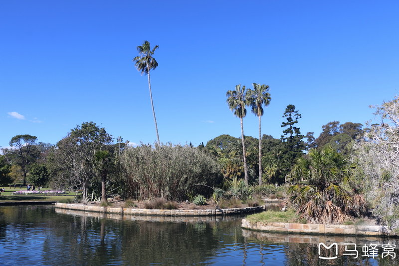 Royal Botanic Garden-Oscar Brooks