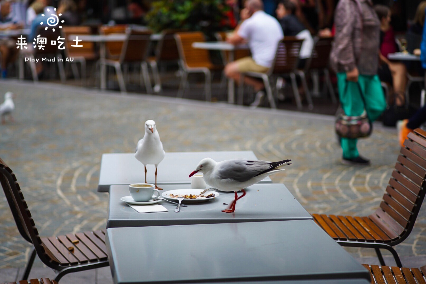 Darling Harbour-Charlotte Fisher
