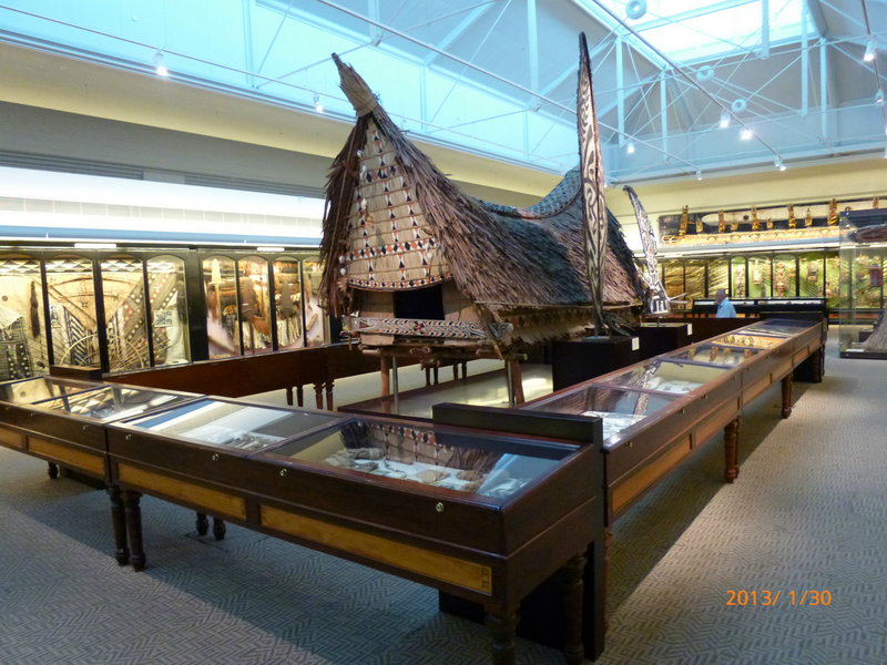 Australian Museum-Chase Peterson