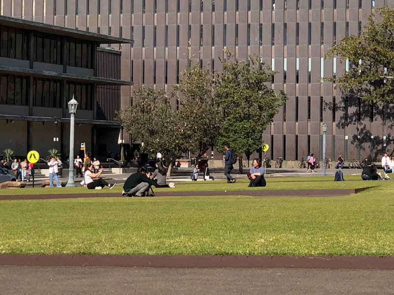 Sydney Uni-Lotus Ravenspire