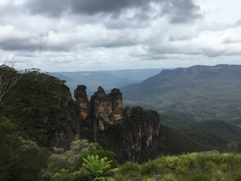 Blue Mountains-Emma Thompson