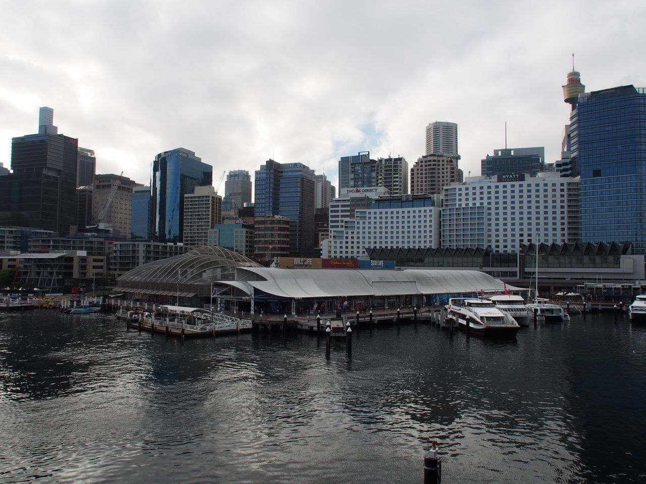 SEA LIFE Sydney Aquarium-Matthew Turner