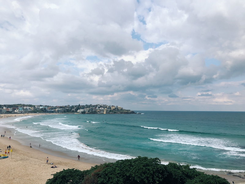 Bondi Beach-Maya Stevens