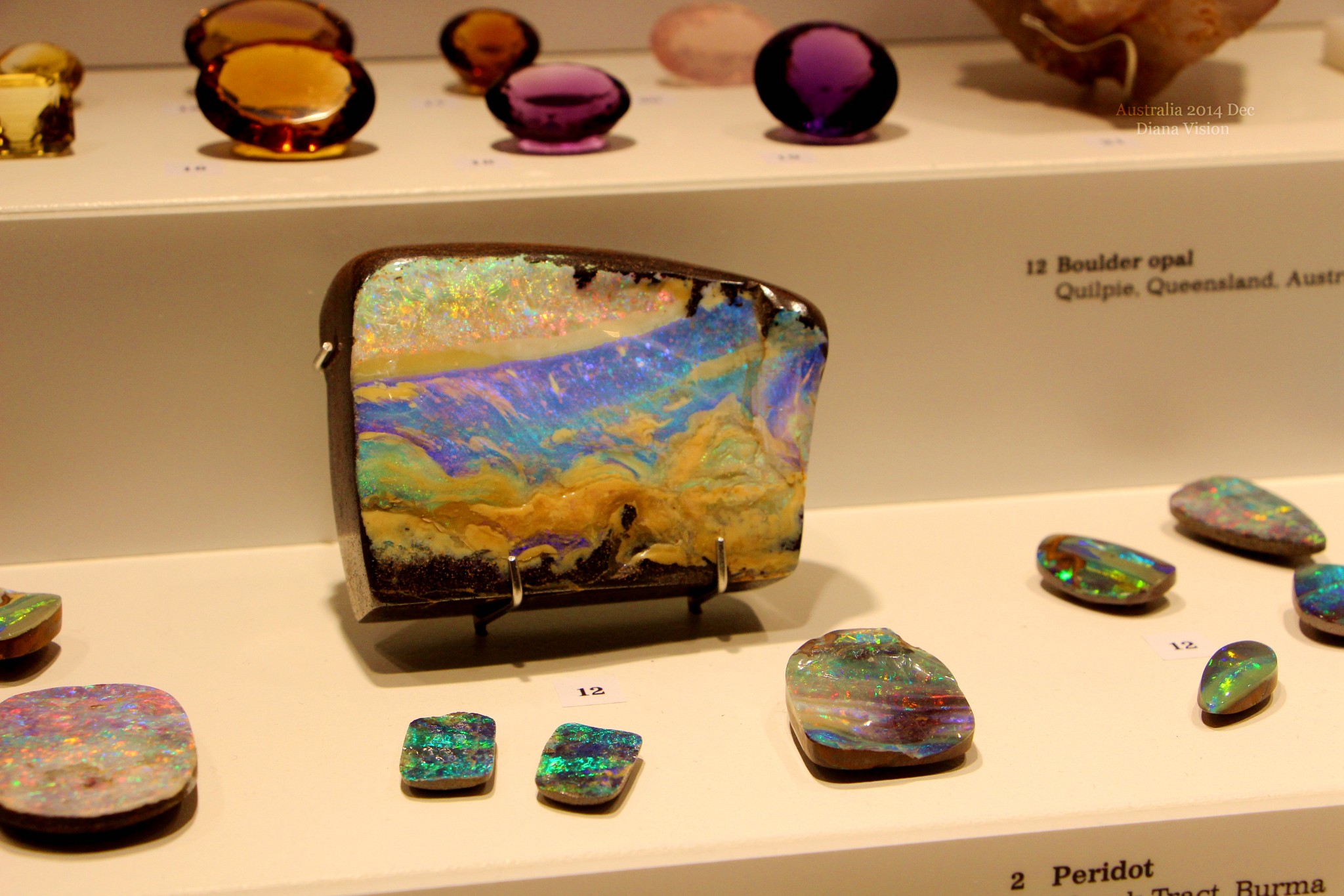 Australian Museum-Brady Fuller