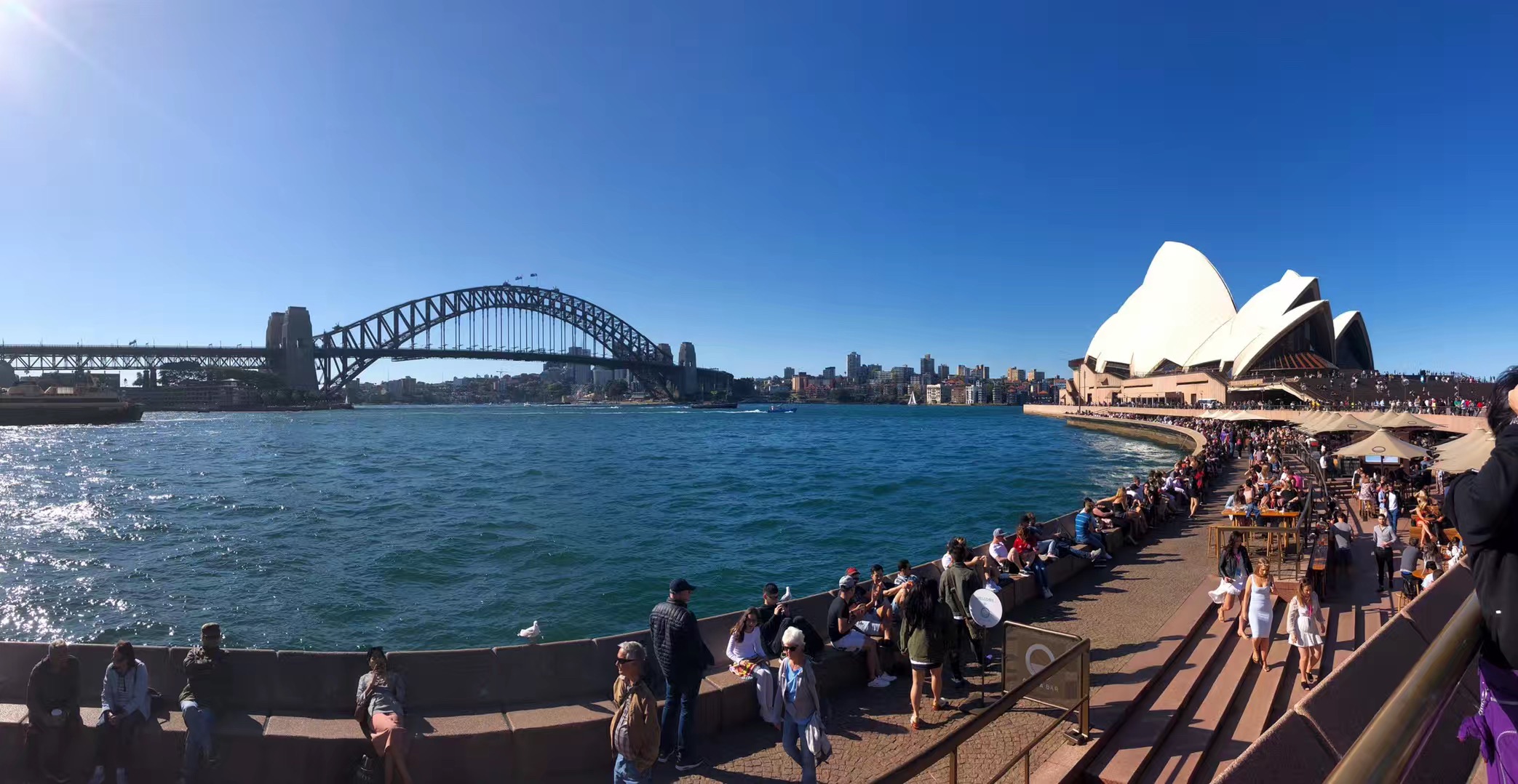 Darling Harbour-Charlotte Griffin