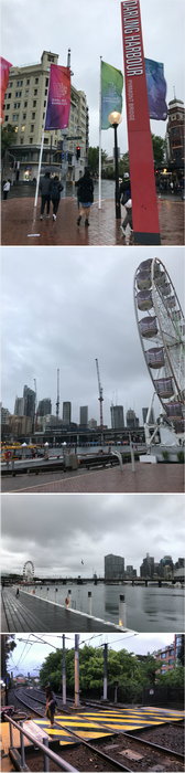 Darling Harbour-Emma Hall