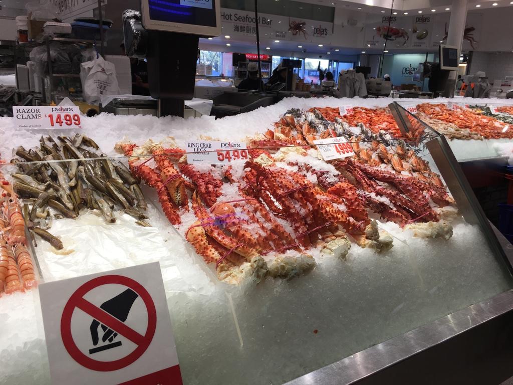Sydney Fish Market-Mateo Jenkins
