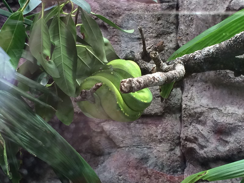 WILD LIFE Sydney Zoo-Aria Campbell