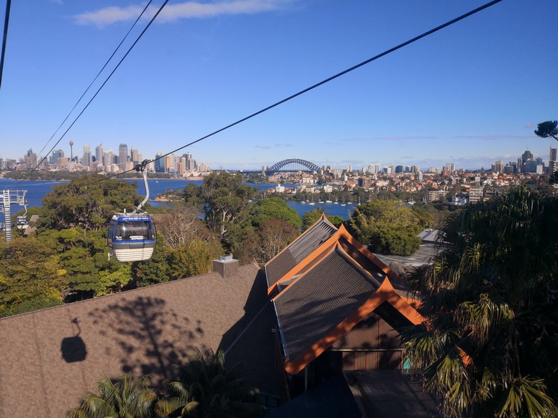 Taronga Zoo-Raven Brightvale