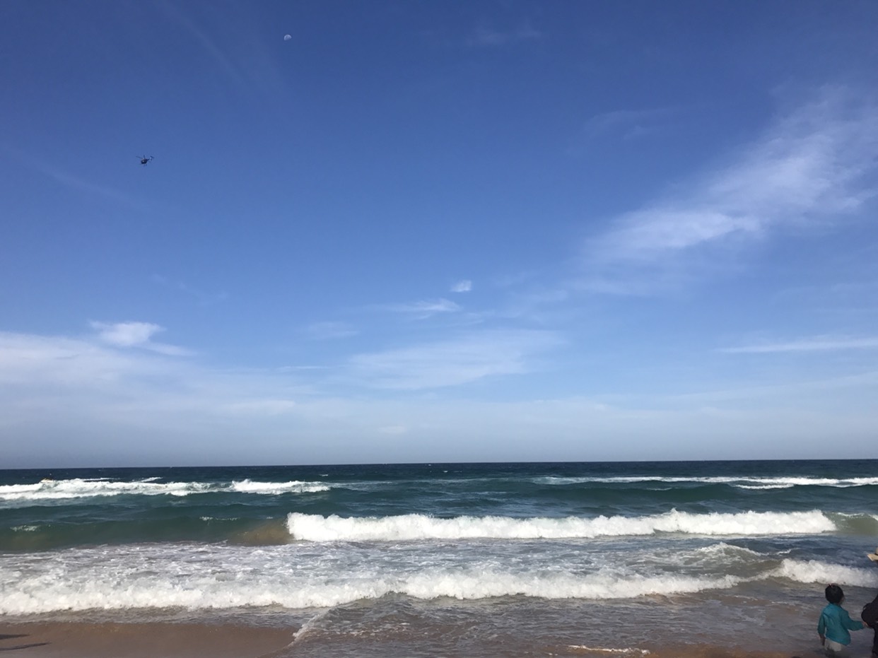 Manly Beach-Andrew Hawthorne